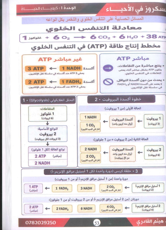 دوسية الاحياء الدرس الاول توجيهي 2009 أ.هيثم القادري
